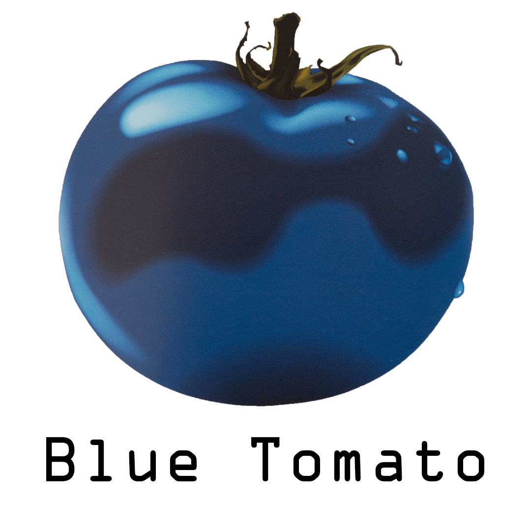 The Blue Tomato Coffeeshop - Hoorn